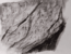 Neolithic rock art painting